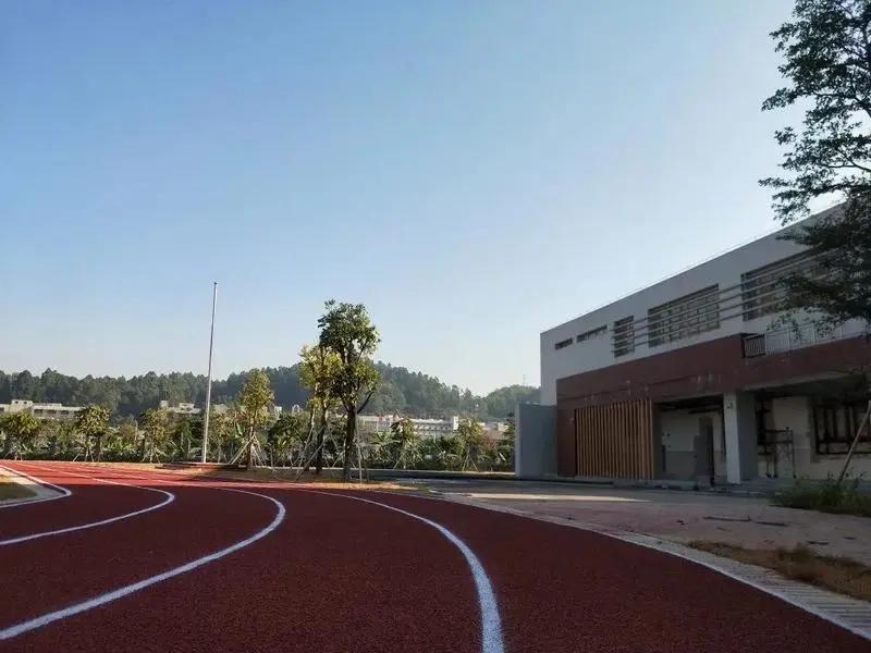 2022广州荔湾区公办小学,广州2022年公办小学入学资料