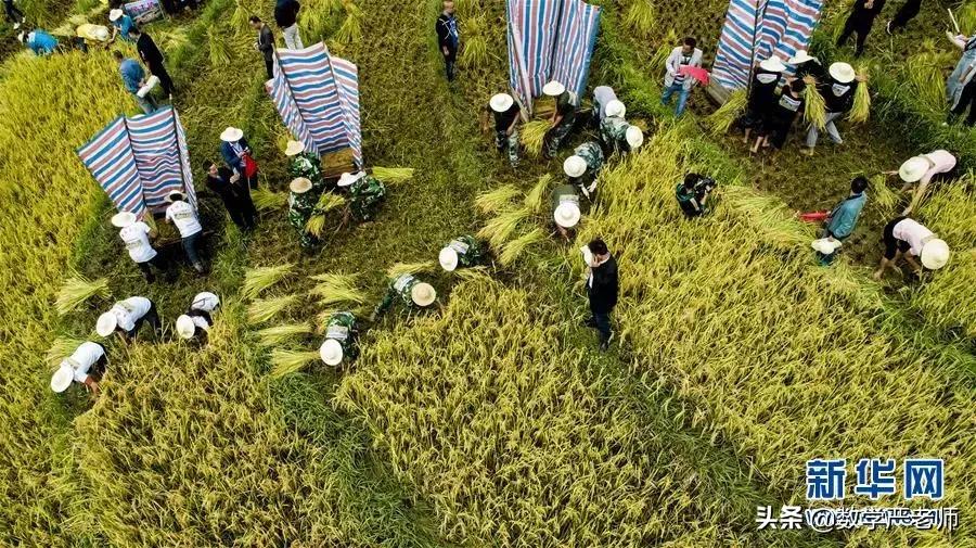 中国农民丰收节秋分节气同一天,农历秋分日为中国农民丰收节