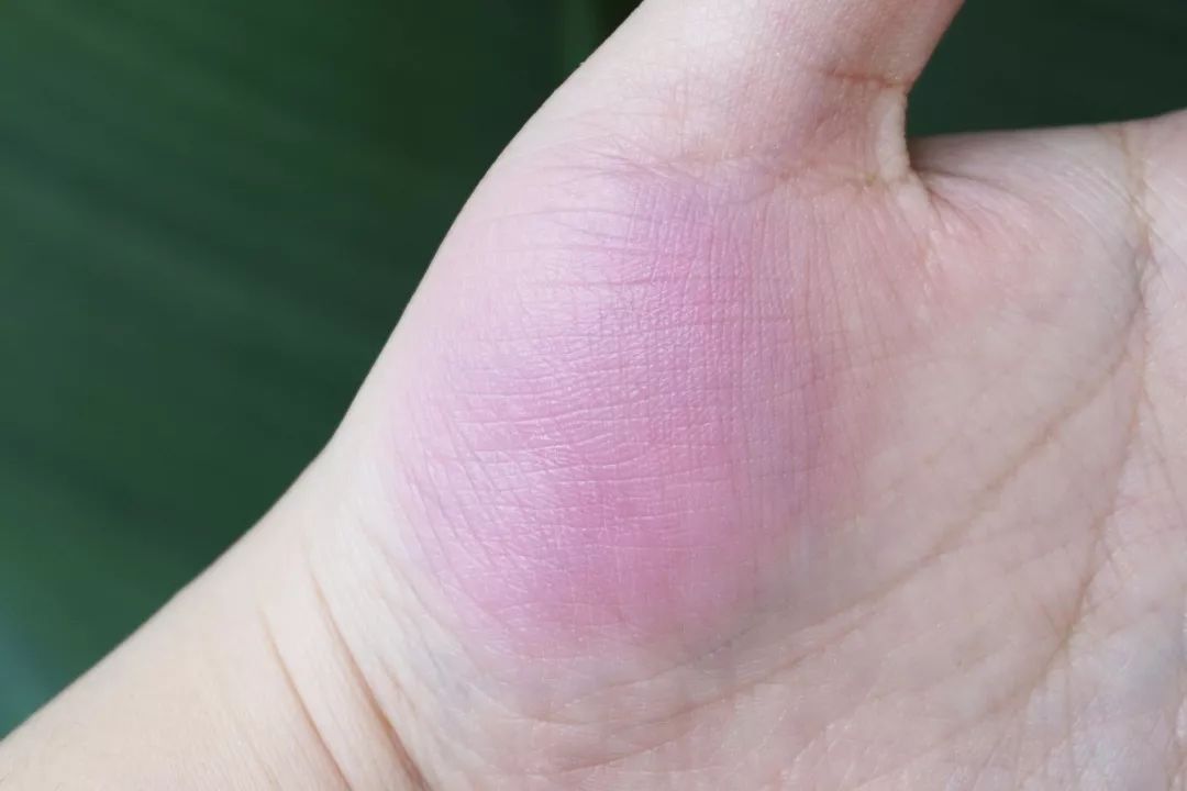 秋冬温柔显白美甲腮红,橘朵腮红哪个适合秋冬