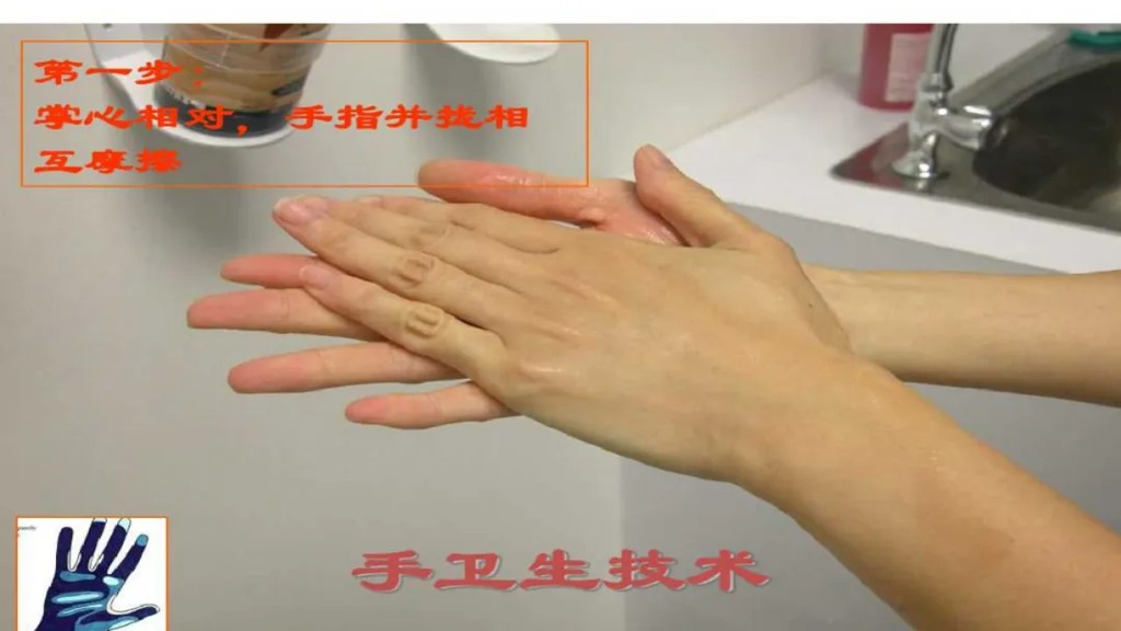 课件-陪护人员医院感染知识培训