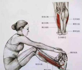 想要瘦腿又细又直的方法,想瘦腿的练起来
