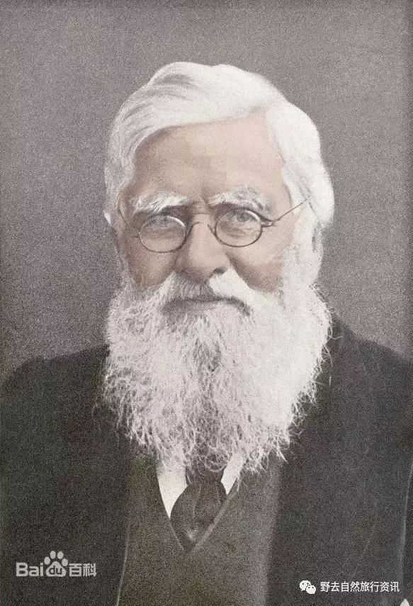 待疫情平息,和孩子一起探索“失落的世界”婆罗洲原始雨林