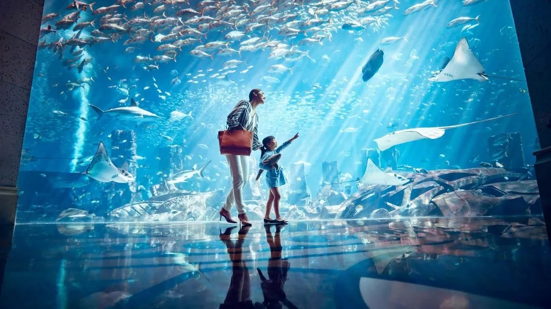 迪拜儿童乐园游玩攻略大全,带孩子疯玩游乐世界