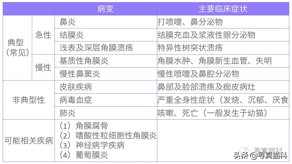 猫只流脓鼻涕打喷嚏也是疱疹吗,猫得了疱疹病毒只打喷嚏和流鼻涕