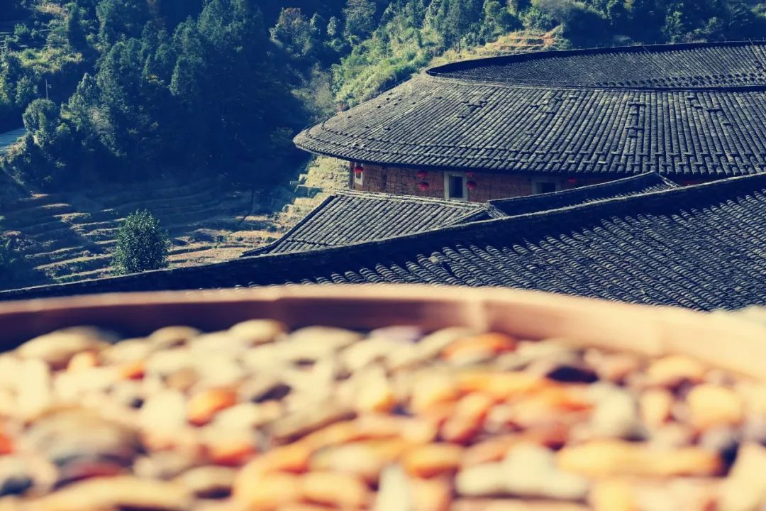 上海到福建自驾游旅游攻略,福建旅游攻略自驾游景点