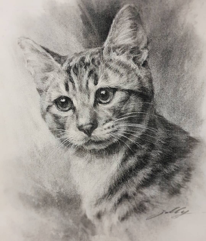 动物世界手绘画,写实素描动物插画教程