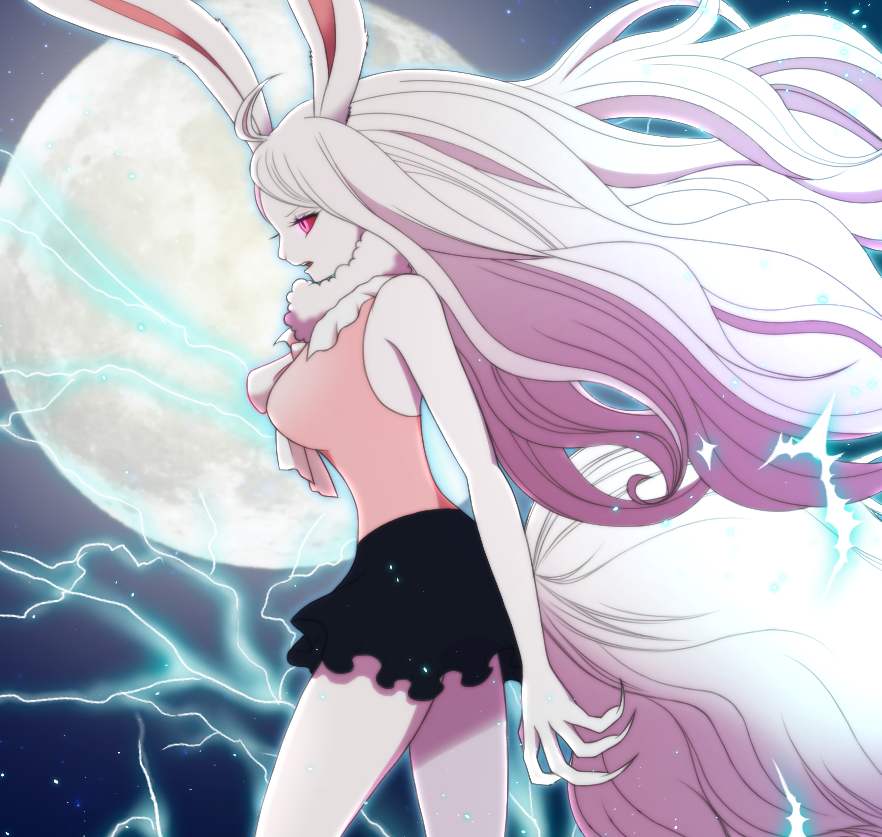 海贼王兔子加洛特最后去哪了,海贼王加洛特最后上哪去啦