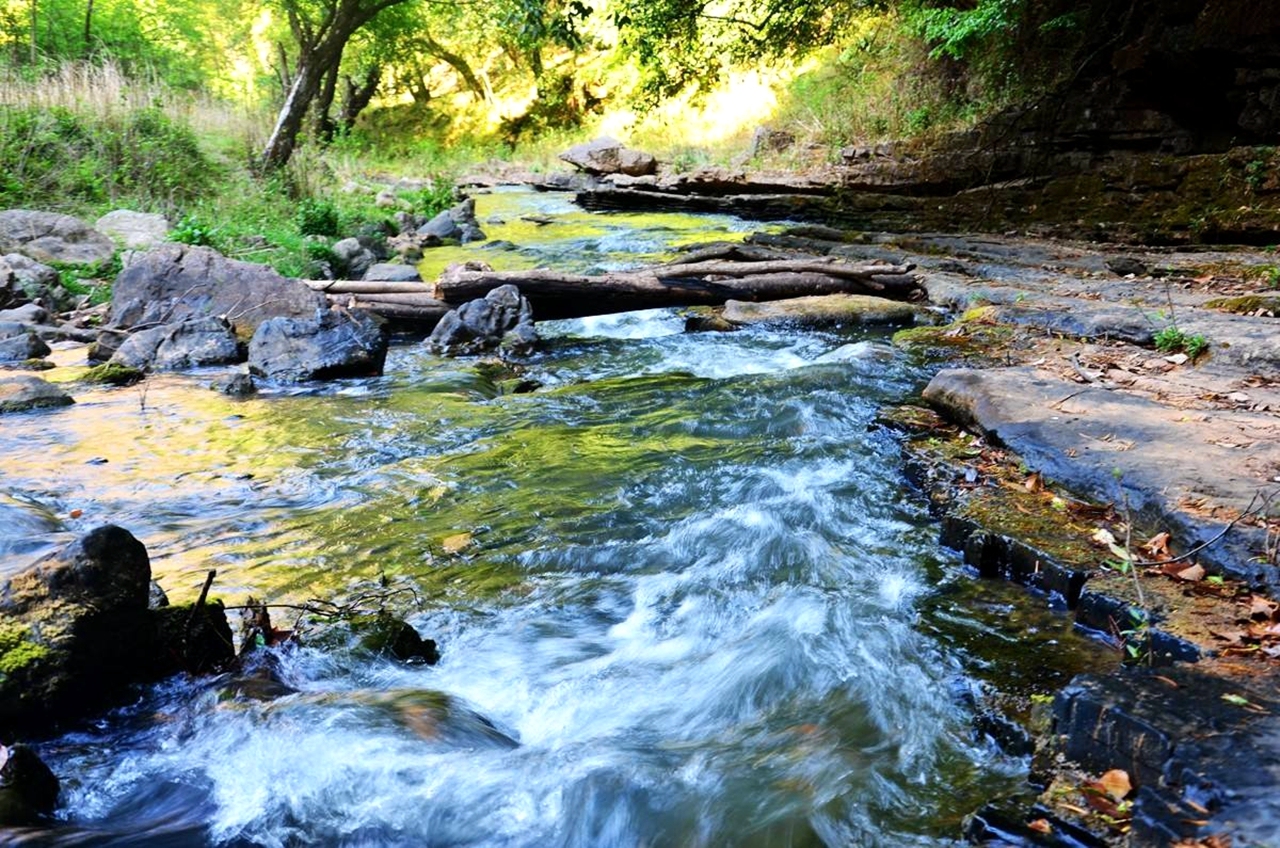 金秋野花沟在哪里,金秋野花沟照片