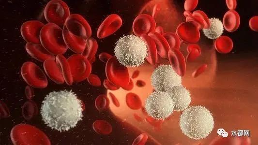 警惕脊髓型颈椎病,颈部不舒服警惕四种病