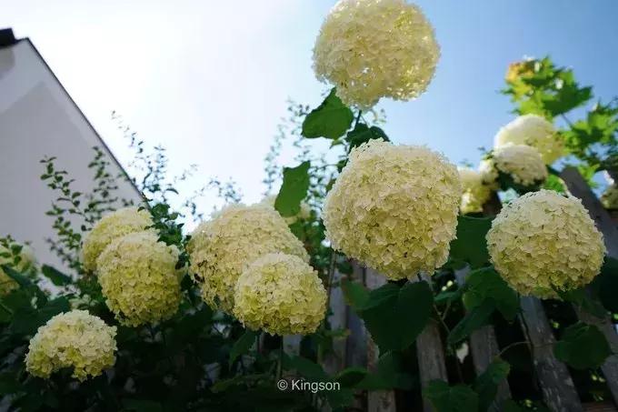 体验师徐凯德瑞意奥之旅（四）——走进中欧的童话国度