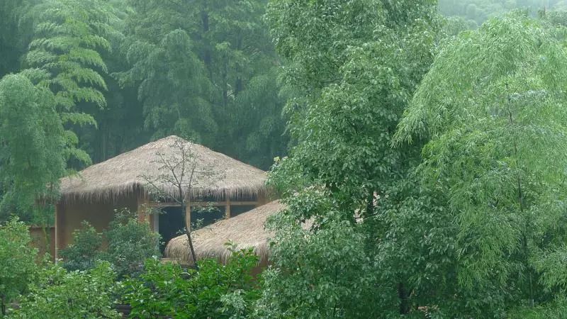 最美的民宿隐藏在森林云海,观光玻璃栈道民宿