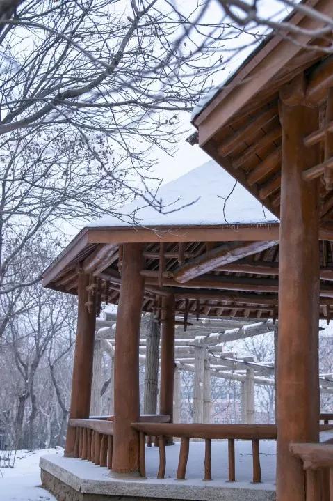 民办学校大连艺术学院全国排名,大连艺术学院辽宁排名