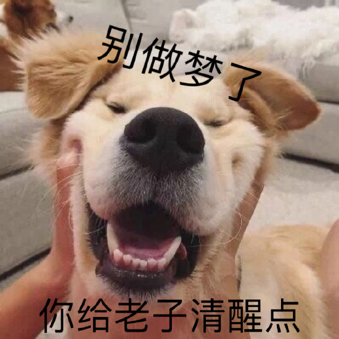 我会配合你的工作表情包,感谢您对我工作的配合表情包