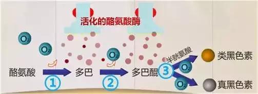 日常这些护肤误区千万不要踩,十大护肤烂脸成分