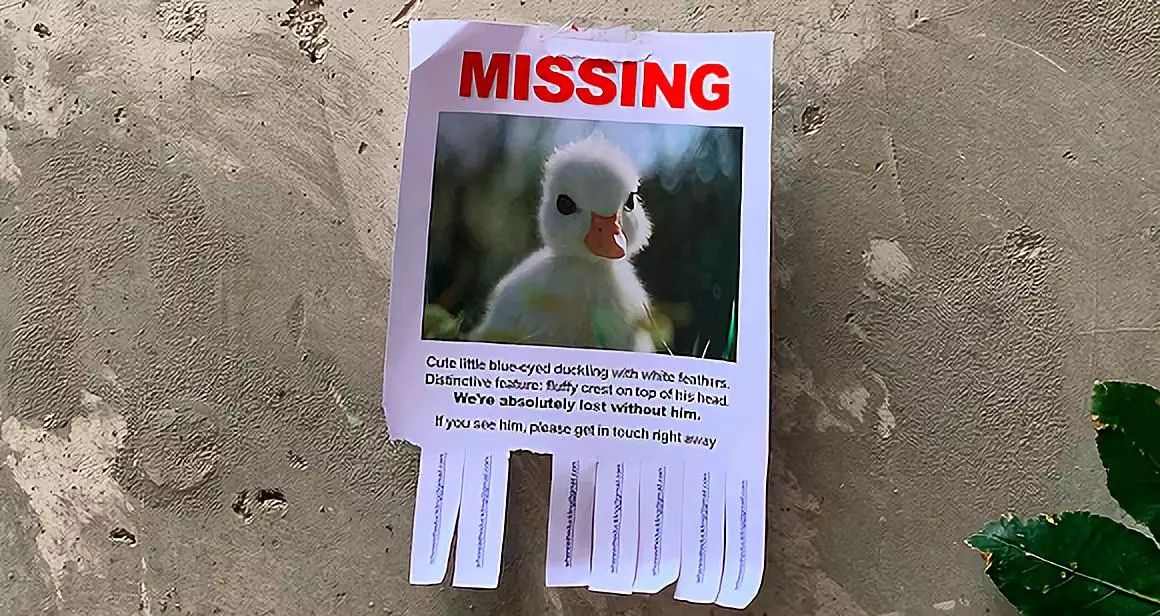 吉祥物走失背后,隐藏着哪些心机?