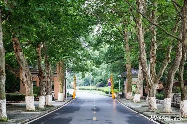 原来武汉有这么多好玩的打卡地,武汉周边新晋7大网红打卡地
