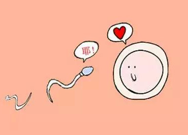 排卵期有什么不适和征兆吗,排卵期哪些症状预示能怀上宝宝