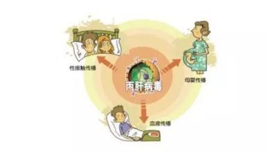 丙肝导致肝肿瘤良性的可能性大吗,丙肝引起的肝癌可以治愈吗