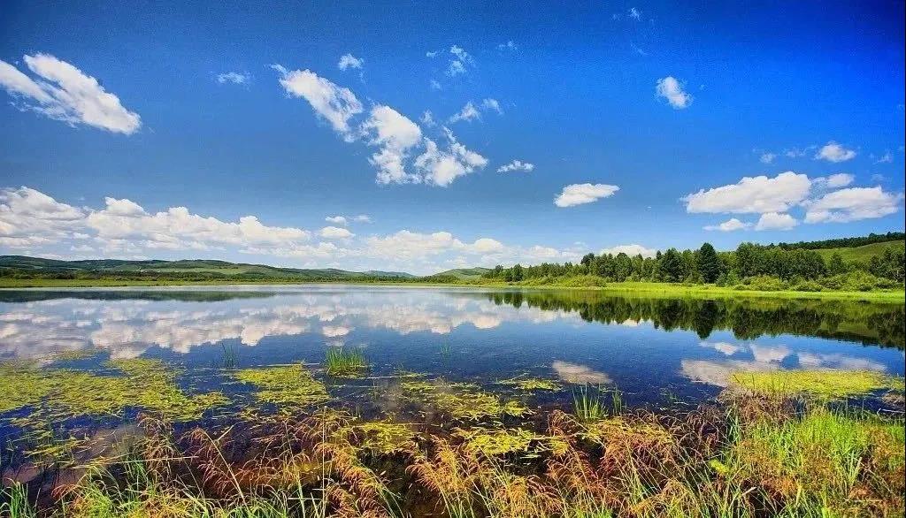 呈贡新区十周年,昆明市呈贡区花都