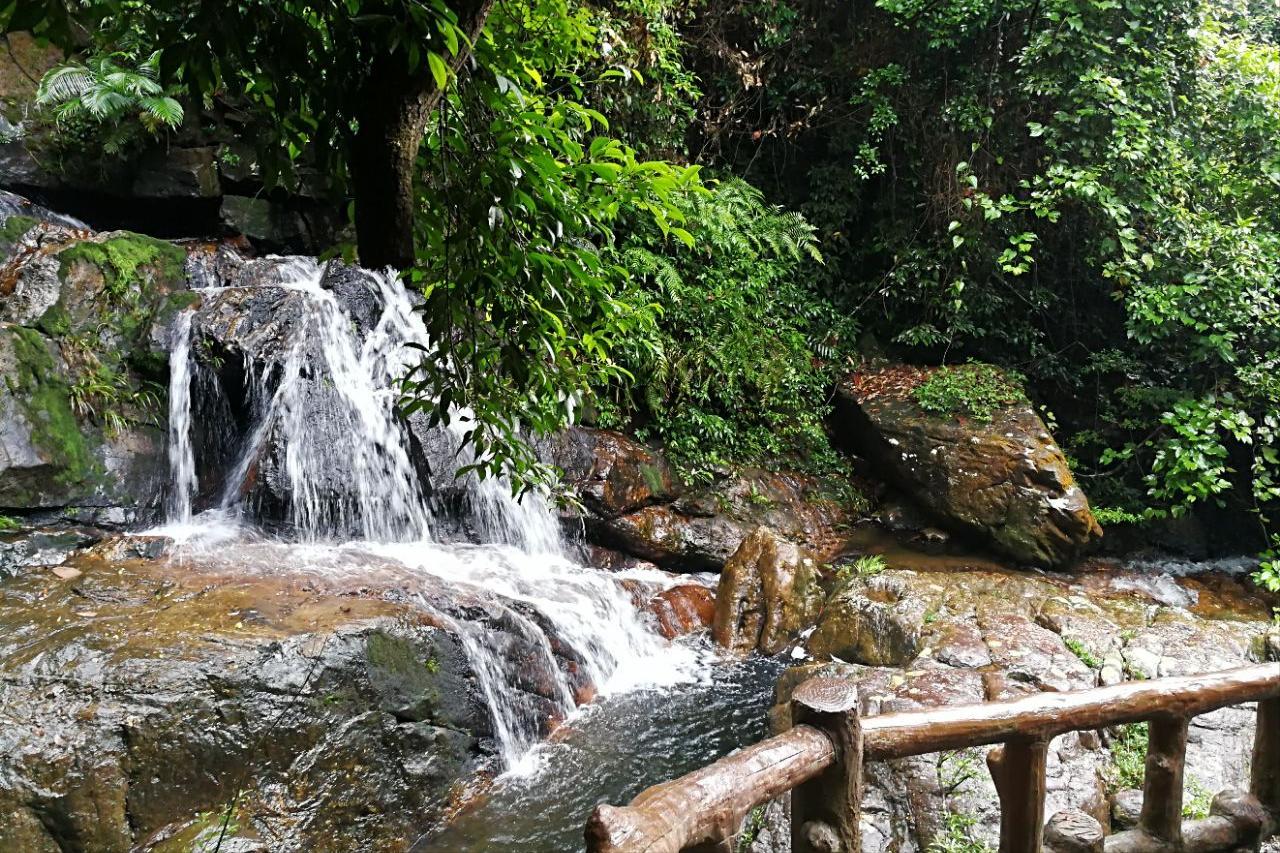 九寨沟是哪九个寨组成的,九寨沟有哪九个寨子