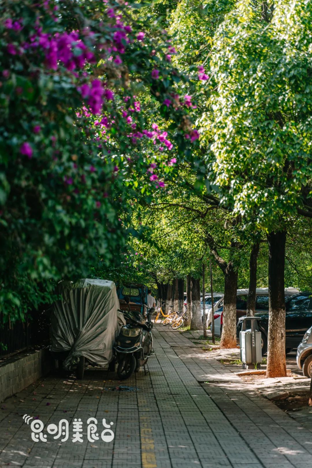 昆明排队三十年老店,昆明排队的老店