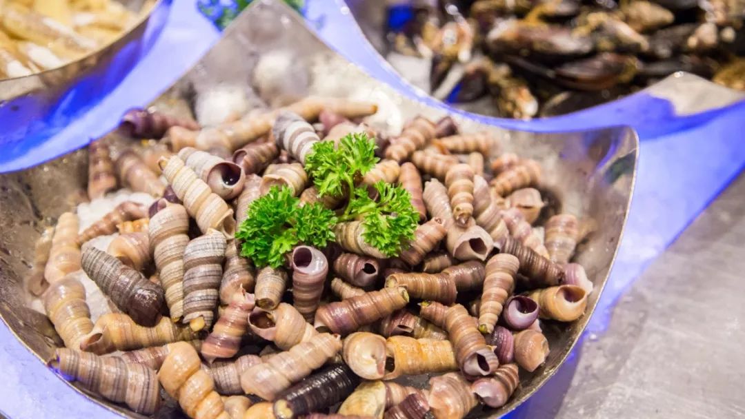 “暖男级”五星酒店自助,藏着林俊杰打卡过的正宗咖喱