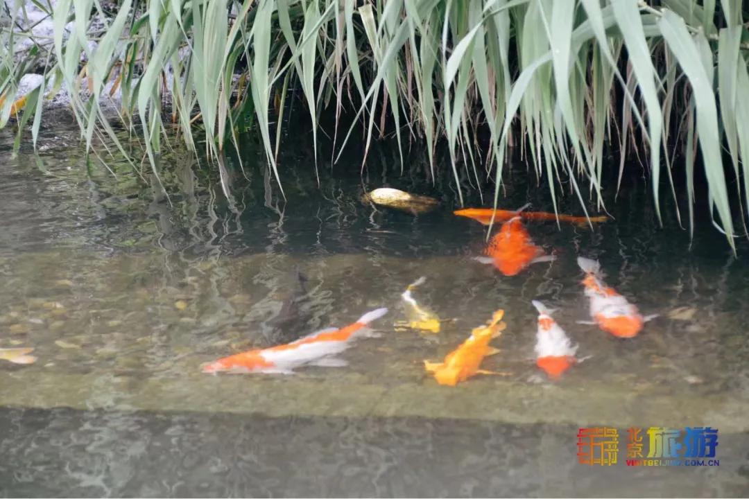 北京藏着一座神秘地下城,北京老城里竟藏着这么多古迹