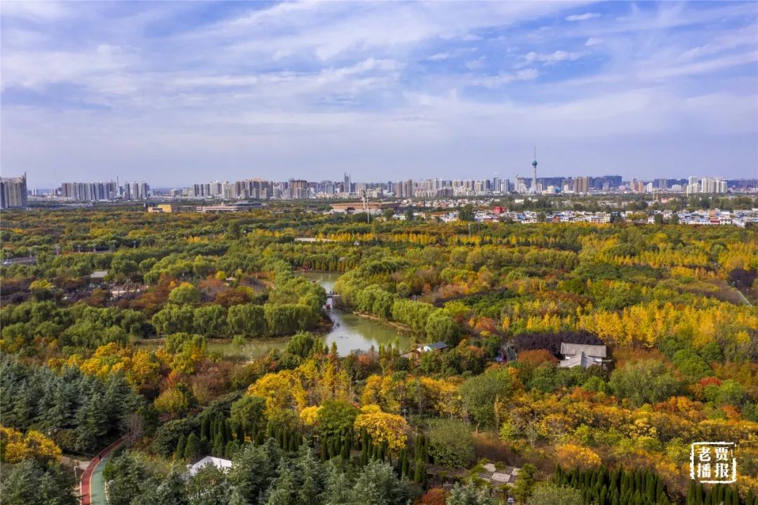 洛阳一大型网红公园免费开放,洛阳湿地公园网红打卡地