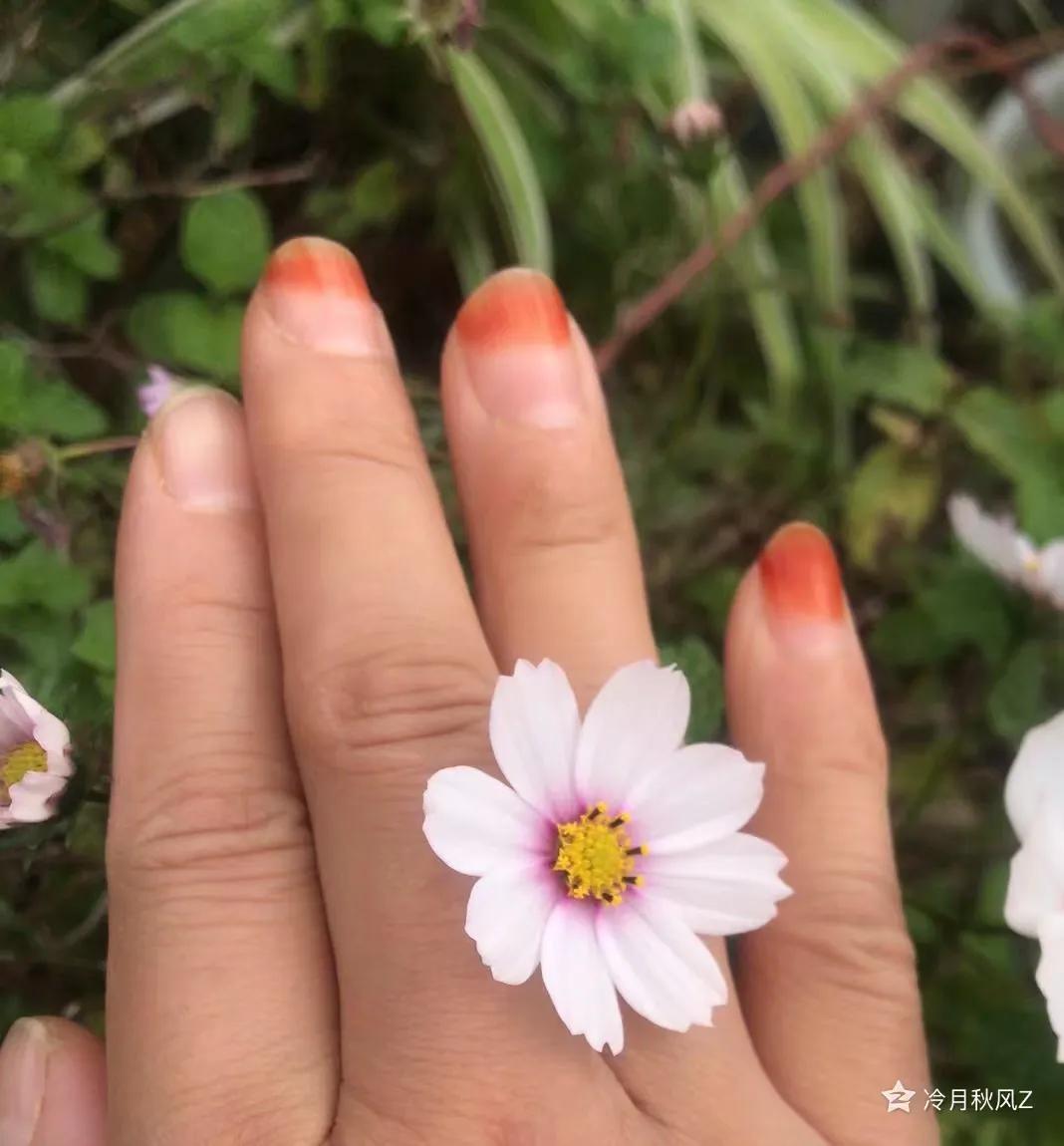 最美的戒指背景图,最美的戒指