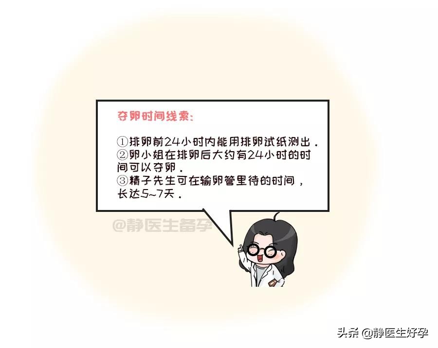 精子和卵子相遇有什么表现吗,精子多久与卵子相遇最好