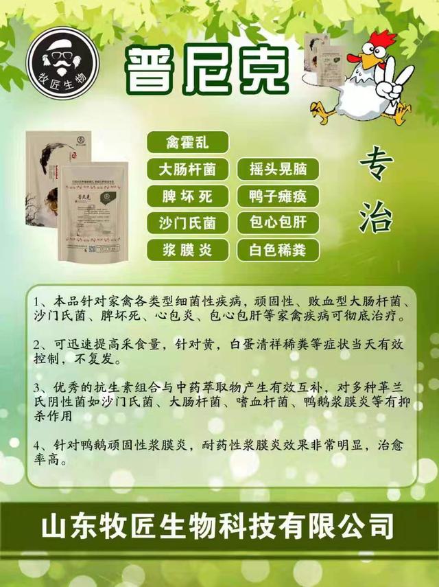 鸡肠道发紫拉白色稀粪便用什么药,鸡得了大肠杆菌用什么方法最好