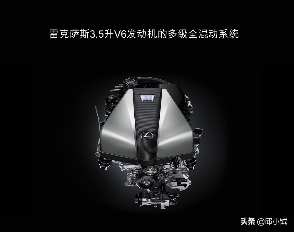 冠蓝狮浮世绘绿款上手,去年上架的直售皮肤