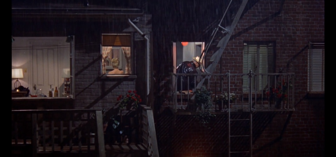 希区柯克经典电影后窗,希区柯克后窗艺术