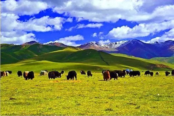 武威乌鞘岭的由来,中国最壮美的山岭武威乌鞘岭