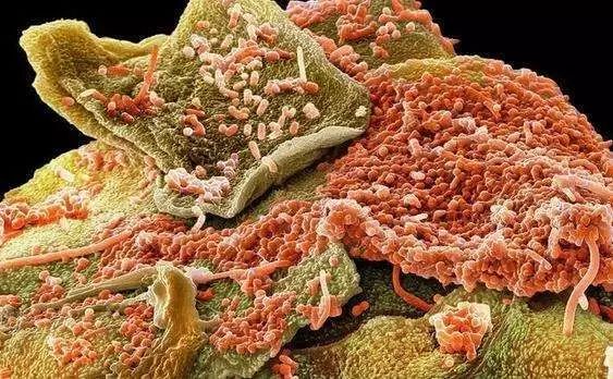 限时疯抢全国包邮,限时抢购全部68折优惠