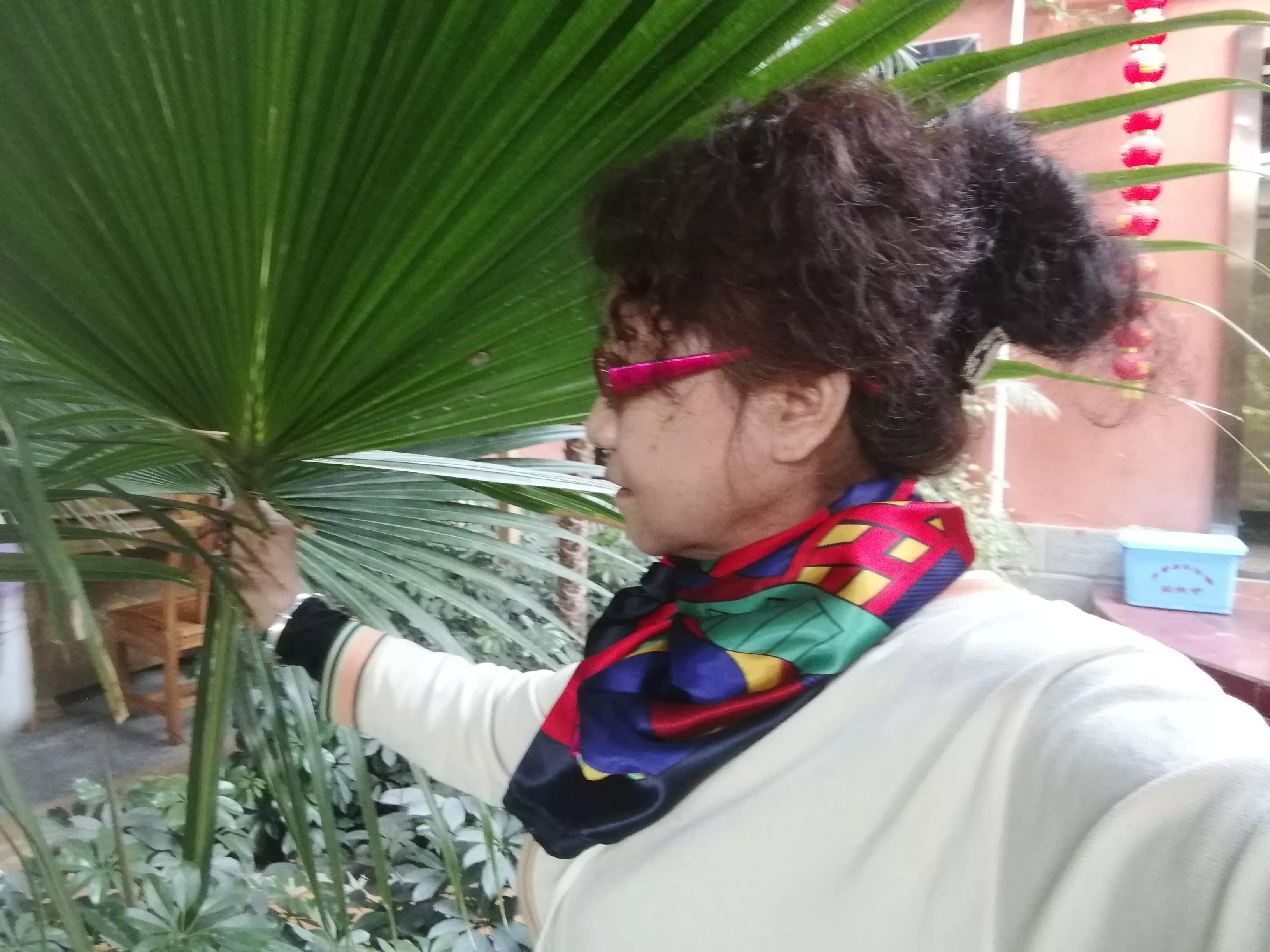 敦煌海盛山庄电话,这里是敦煌民宿