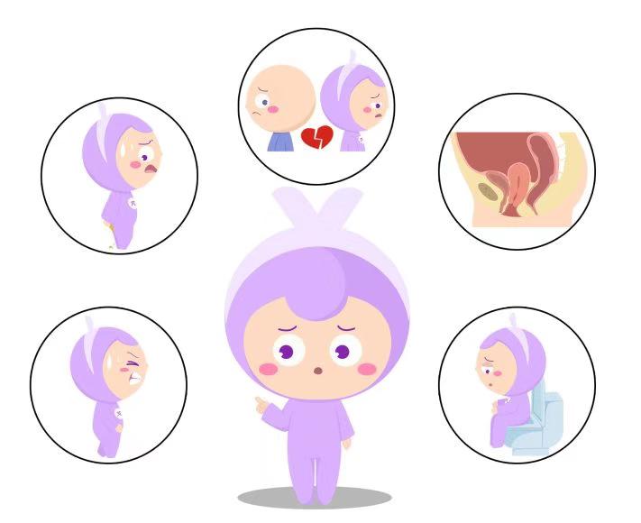 妇科盆底康复治疗,妇女盆底康复视频