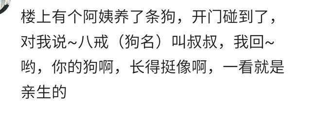 如何怼回嘴贱的人话语,面对嘴巴特别贱的人该怎么怼回去