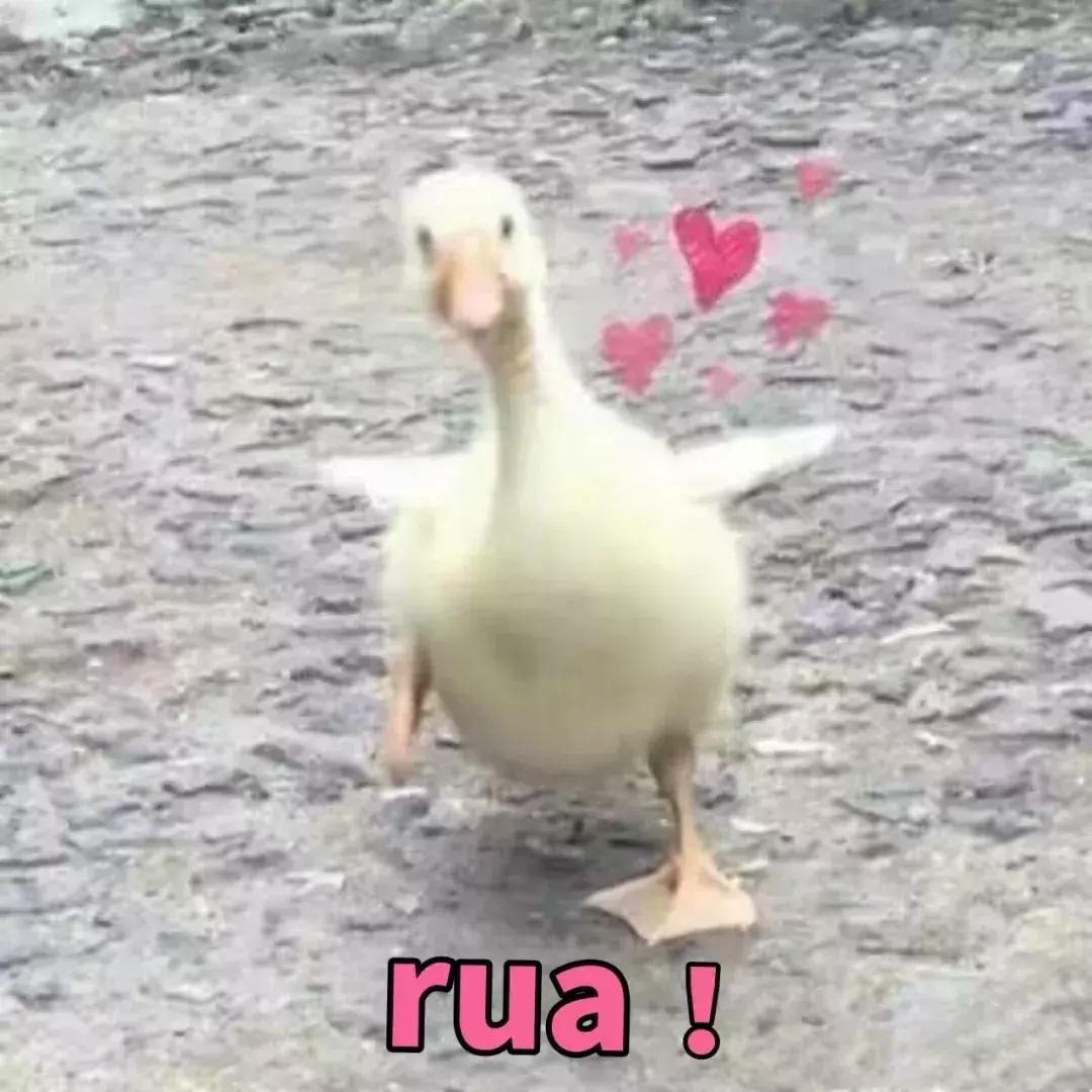 小红书下架是真的么,小红书为什么会被下架