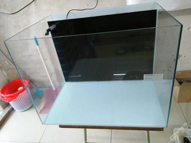 鱼缸背滤改造最佳方法,普通家用小鱼缸能改底滤