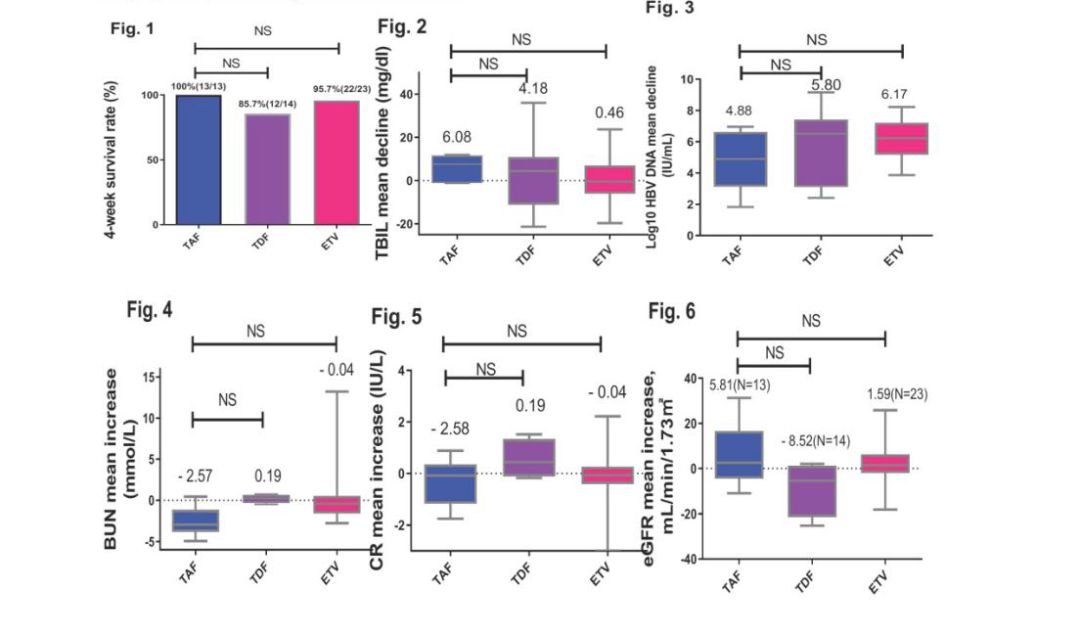 taf替诺福韦导致肝纤维化,丙酚替诺福韦能逆转乙肝肝硬化吗