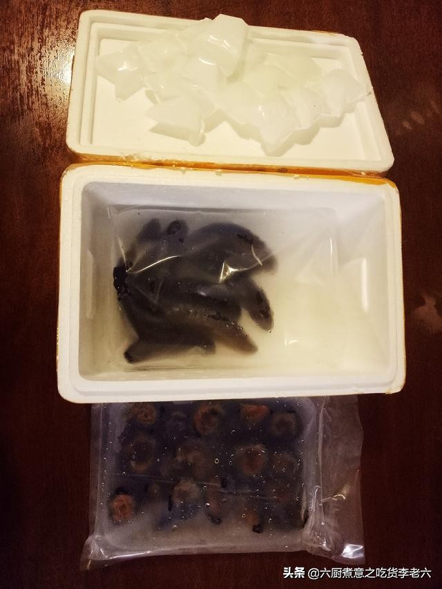 挑战吃每种海参的刺身,海参刺身吃法大全