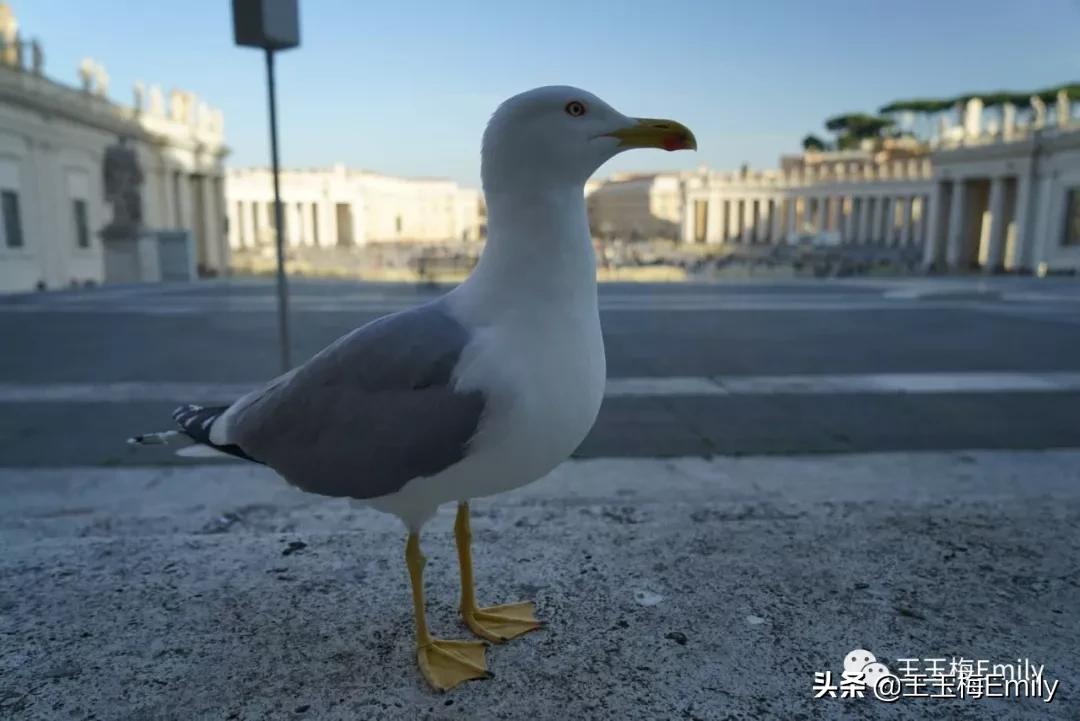 一个人劝你放弃梦想是什么感觉,他人的眼光固然重要