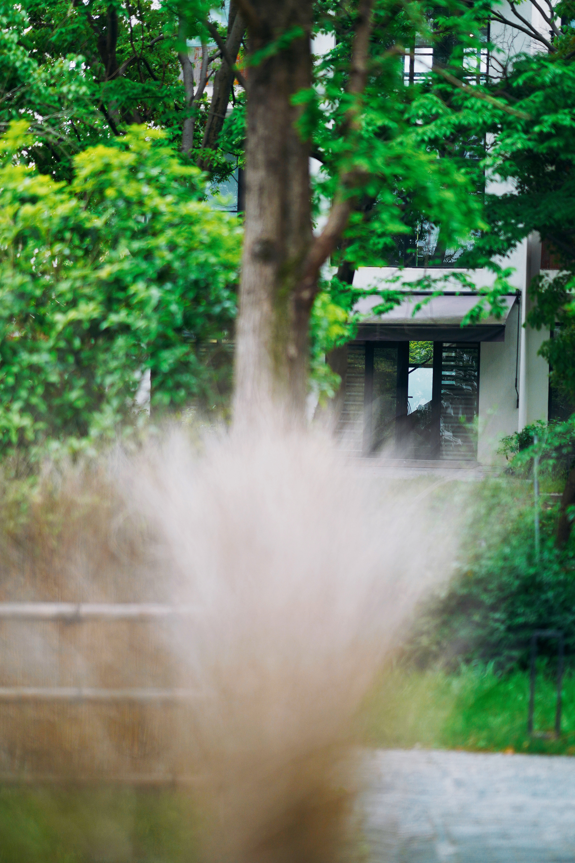 送你一份不走寻常路的苏州攻略，田园风民宿+文艺小清新打卡地