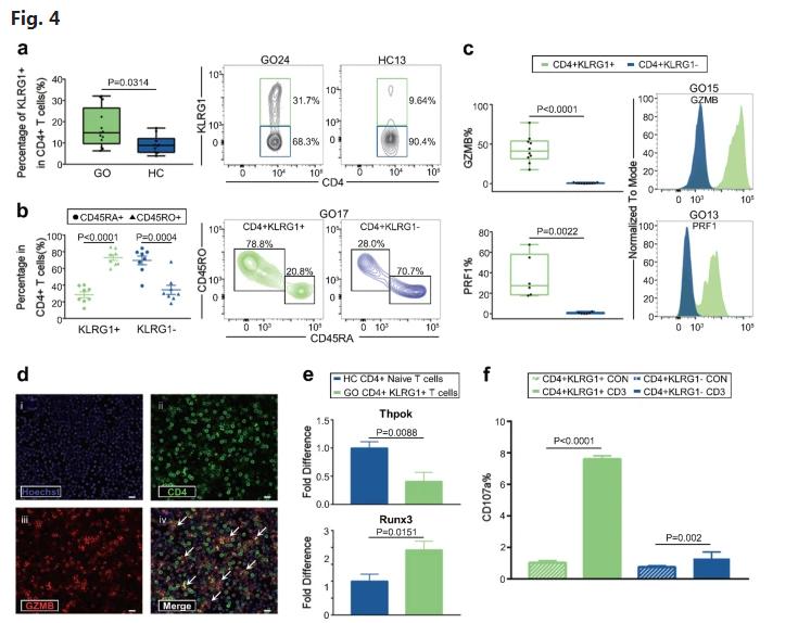 国际首次!陕西教授团队在眼病治疗中又获重大突破,引起国际关注!