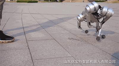 高端智能机器狗,wavego仿生机器狗