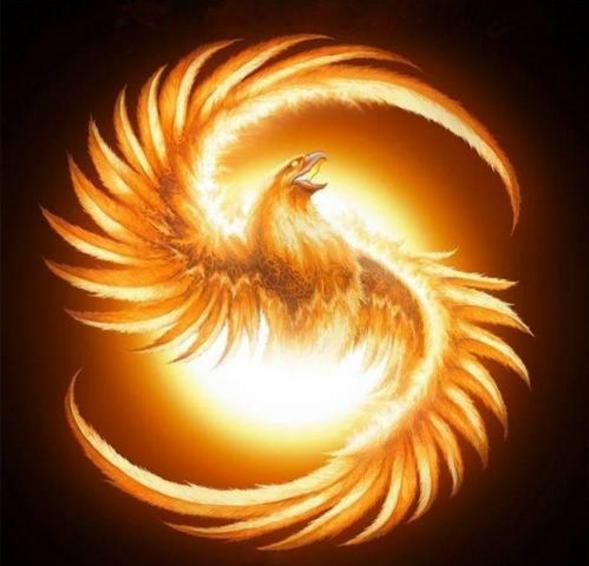 淘宝开店瓶颈期,淘宝老店运营方法和技巧