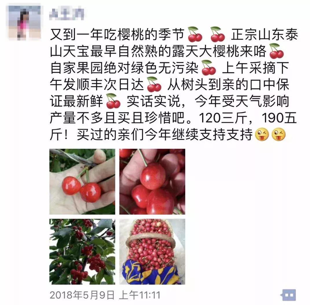 樱桃测评博主,樱桃测评