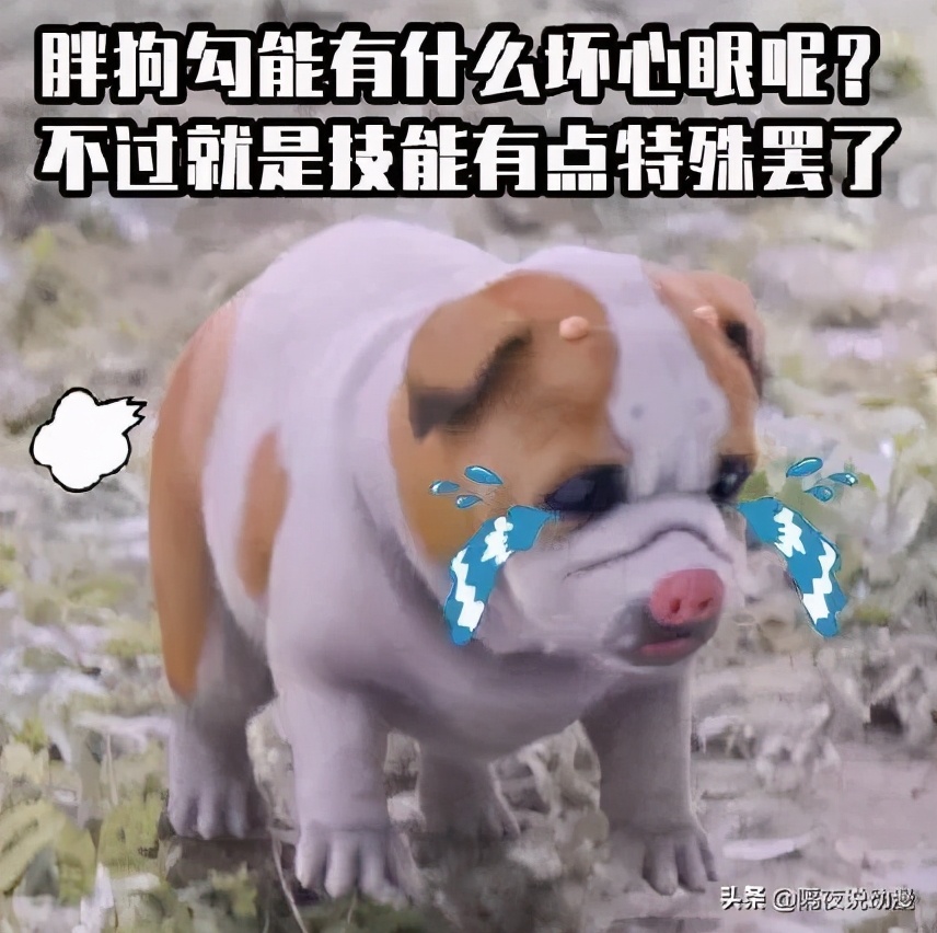 斗罗大陆央视二次定档,斗罗大陆真人播出