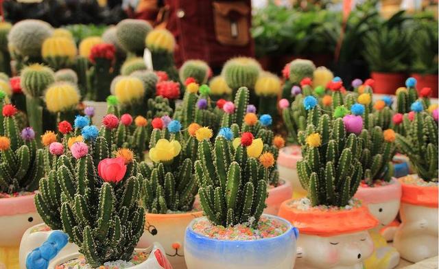 西安三桥附近哪里有花卉市场,西安北二环大明宫花卉市场地址